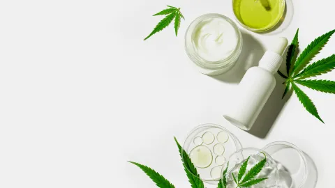 Incorporation of hemp and CBD in skincare